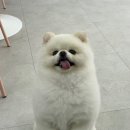 이뻐질개 이미지