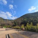 검단동주민센터 | 대구 지자체 운영 캠핑장