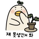 엘라ing스피닝
