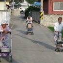 석우동 Daum카페