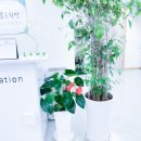 목동서로 이미지