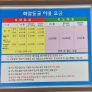 화암 | 정선 화암동굴 후기 - 정선 아이와 가볼만한곳, 비오는날 정선, 모노레일 및 입장료, 운영시간 총정리