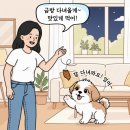 코지동물의료센터서