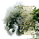 눈부신날에 이미지