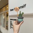 도선인테리어 이미지