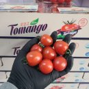🍇 겁나 맛있는 거봉포도 ‼️ 🍑 딱딱이/백도 복숭아 💫 왕자두 🍅 스테비아방울 🍇 하우스 캠벨포도 🍒 생체리 이미지