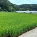 능포초등학교병설유치원 이미지