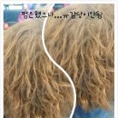 참꽃미용실