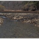 봉황자연휴양림 이미지