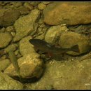 강천산군립공원 이미지