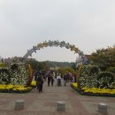 2017-10-29 중앙체육공원 천만송이 국화축제장에 갔다오다. 이미지