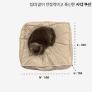 220동식당 | [집에가야돼] 고양이 누빔 사각 쿠션, 빈백 후기