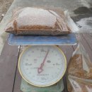 향긋 오리지날~ 아까시아꿀, 밤꿀 이미지