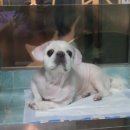 마린시티 종합동물병원 이미지