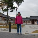 안덕유통 | 경북 영천시 동의참누리원한의마을,화랑설화마을,화본역 (2023년11월11일)
