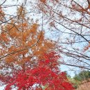 장령산자연휴양림 이미지