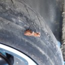 타이어섹터 이미지