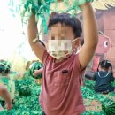 나무와 숲 어린이집 이미지