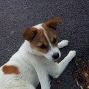 타이어프로 금산점 이미지