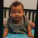 뎅뎅이랜드 이미지