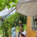 오음초등학교병설유치원 이미지