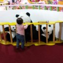 팬더애견샵 이미지