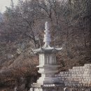 도선사 Daum카페