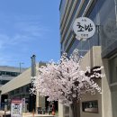 카나이즈미초밥 | 김천 초밥맛집 '카나이즈미초밥' 내돈내산 후기