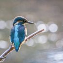 서덕한의원 이미지