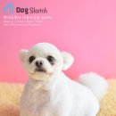 삐삐애견샵 이미지