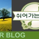 피자헛 대구감삼점 이미지