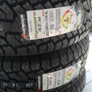 타이어M 이미지