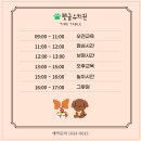 펫글타운 이미지