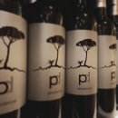 삐노(PINO) 이미지