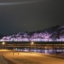새롭게