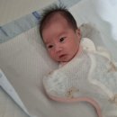 아가방광안자모 | 열무♡ 신생아시절 아기&amp;육아기록,육아템 짧은후기