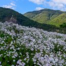 행복한 미래 이미지