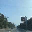 제주 아모제 이미지