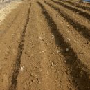 씨없는곶감마을 이미지