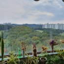 죽전자이공인중개사사무소 이미지