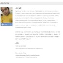 화상 러시아어 쿤술루 선생님과 10개월 정도 진행한 후기 [불곰에듀]