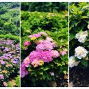 외양포공영주차장 이미지