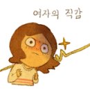 도리탕탕 이미지