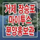마이투스 이미지