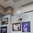 진미정 | [제주 노형동] 진미네식당, 돔베고기부터 강된장까지 만족스러웠던 진미정식 후기