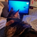 옥희농장 | 2025년 7월.