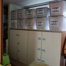 숲속아침 이미지