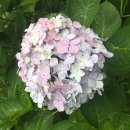 한라수산 이미지