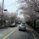 상평초등학교 이미지