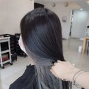 The 시크릿 헤어